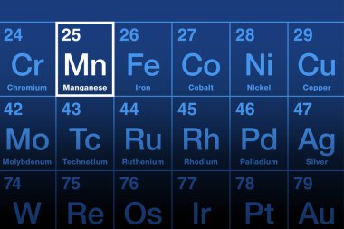 Periyodik tabloda manganez öğesi var. Metal ve kimyasal elementlerin sembolü Mn ve atom numarası 25. Çelik üretimi için kullanılır. Temel insan besin elementi ve mikro besin. Vektör