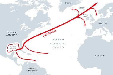 Gulf Stream, gri politik harita. Sıcak ve hızlı bir Atlantik Okyanusu akıntısı, Meksika Körfezi 'nden başlayarak, Florida Boğazı' ndan Amerika Birleşik Devletleri ve Kanada kıyılarına doğru akar..