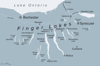 Finger Lakes bölgesi, New York Eyaleti, Amerika Birleşik Devletleri, gri politik harita, en önemli şehirler. Onbir uzunluğunda, dar, kabaca güney-kuzey gölleri, Ontario Gölü 'nün tam güneyinde yer alıyor..