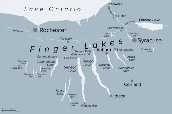 Región Finger Lakes Estado Nueva York Estados Unidos Mapa Político — Vector de stock