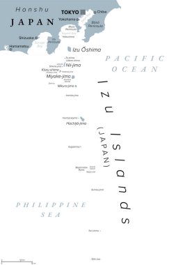 Izu Adaları, Japonya 'nın volkanik ada grubu, gri politik harita. Pasifik 'te, Tokyo Bölgesi' nin bir parçası olan Honshu Yarımadası 'ndan Sofu Iwa' nın güneyine ve en büyük ada Oshima 'ya kadar uzanır..