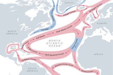 Gulf Stream haritası ve büyük Kuzey Atlantik okyanus akıntıları. Deniz suyu saat yönünde dolaşır, sıcak akıntılar kırmızıyla vurgulanır, ve soğuk akıntılar maviyle vurgulanır. İllüzyon. Vektör