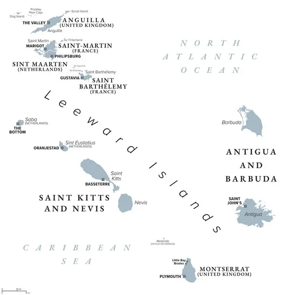 Dari Anguilla Montserrat Peta Politik Abu Abu Kepulauan Karibia Bagian - Stok Vektor