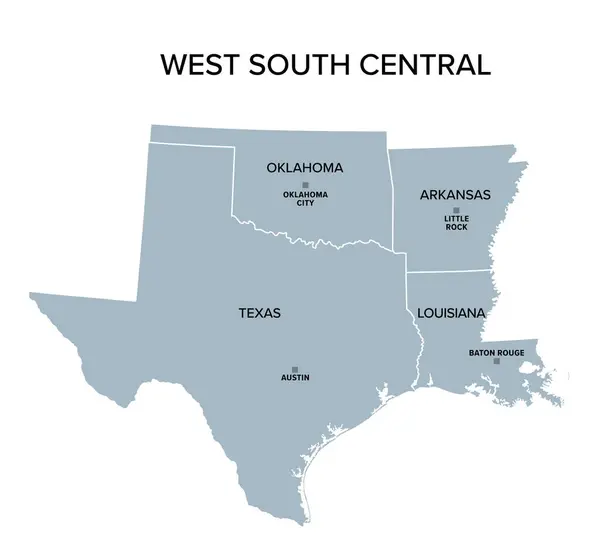 Западный Южный Централ Штаты Серая Политическая Карта Отделение Переписи Населения Лицензионные Стоковые Иллюстрации