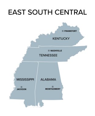 Doğu Güney Merkez Eyaletleri, gri politik harita. Birleşik Devletler 'in Alabama, Kentucky, Mississippi ve Tennessee eyaletlerinden oluşan nüfus sayım birimi. İzole bir illüstrasyon. Vektör