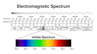 Elektromanyetik spektrumun diyagramı, görünür spektrum ve ışığın ayrı ayrı vurgulanması. Hertz frekansına ve metre cinsinden dalga boyuna göre düzenlenmiş elektromanyetik radyasyonun tam menzili..