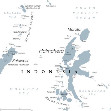 Halmahera, Endonezya 'daki ada, gri politik harita. Molucca 'nın en büyük adası, Maluku Adaları ve Kuzey Maluku eyaletinin bir kısmı. Morotai, Bacan Adaları ve Kuzey Sulawesi 'nin bir kısmıyla.