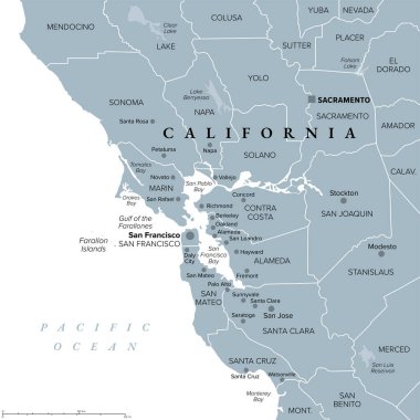 San Francisco Körfez Bölgesi, Amerika Birleşik Devletleri Kaliforniya bölgesi, eyaletleri ve büyük şehirleri olan gri politik harita. San Francisco Körfezi 'ni çevreleyen ve içine alan büyük bir gelgit haliçidir..