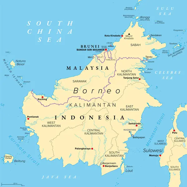 stock vector Borneo, divided among Malaysia, Brunei and Indonesia, political map. Third-largest island in the world and one of the Greater Sunda Islands, in the geographic centre of Maritime Southeast Asia. Vector