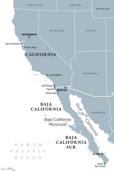 stock vector The Californias, a region of North America, gray political map. Spanning the United States and Mexico, consisting of U.S. state California and Mexican states Baja California and Baja California Sur.