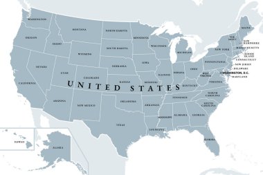 Amerika Birleşik Devletleri, gri politik harita. Elli tek eyalet, kendi coğrafi bölgeleri ve sınırları var, bir sendika ve federal hükümette birbirlerine bağlılar, başkenti Washington, D.C..