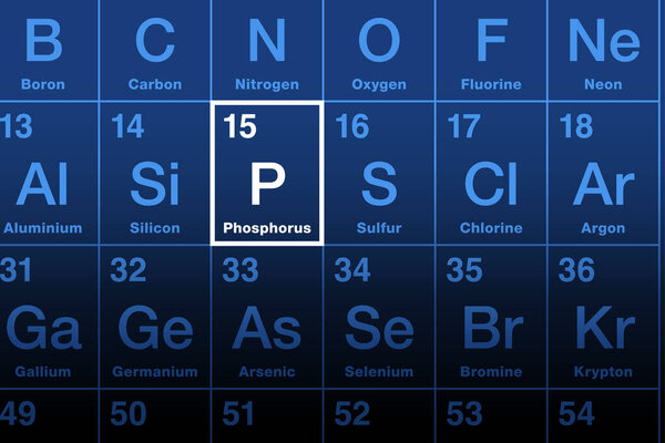 Фосфорный элемент в периодической таблице. Химический элемент с символом P и атомным номером 15. В греческой мифологии это имя означает носитель света, ссылаясь на Люцифера, Утреннюю Звезду и планету Венеру..