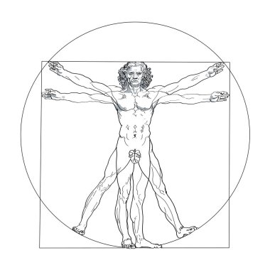 Vitruvius 'lu, incir yaprağıyla. Doğa, evren ve geometri ile mükemmel insan orantılarının betimlenmesi. Çemberin ve karenin ortasında bir adam, ayrıca çemberin karesine bir gönderme..