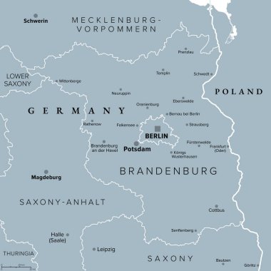 Brandenburg, a state in northeastern Germany, gray political map with capital and largest city Potsdam, borders and largest cities. Brandenburg surrounds the national capital and city-state of Berlin. clipart