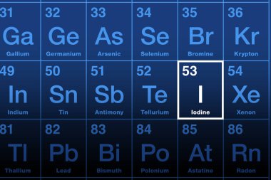 Iodine on the periodic table of the elements. Non-metallic element with atomic number 53 and chemical symbol I after Greek iodos for violet. Essential mineral nutrient for thyroid hormone synthesis. clipart