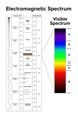 Elektromanyetik spektrum ve görünür spektrumu ayrı ayrı vurgulanıyor. Hertz 'deki frekansa ve metre cinsinden dalga boyuna göre düzenlenmiş elektromanyetik radyasyonun diyagramı. Vektör.
