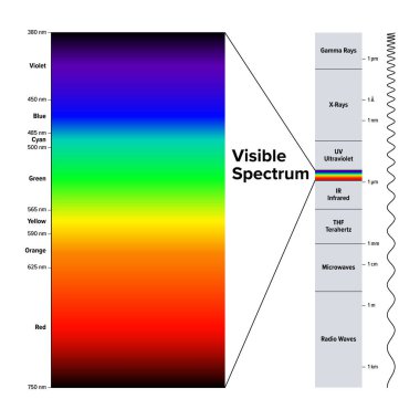 Elektromanyetik spektrum ve görünür spektrumu ayrı ayrı vurguladı. Elektromanyetik radyasyon diyagramı, metre cinsinden dalga boyu ve nanometre cinsinden görünür ışığın renkleri..