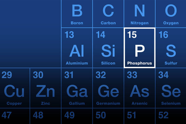 Элемент фосфора в периодической таблице. Химический элемент с атомным номером 15 и символом P. От греческого слова Фосфор, носитель света. Существенно для поддержания жизни с помощью фосфатов. Используется в удобрениях.