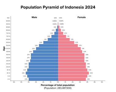 Endonezya 2024 nüfus piramidi. Yaş yapısı diyagramı ve 283 milyondan fazla insanın dağılımının grafiksel çizimi, kadın ve erkeklere bölünmüş, yüzde ve dört yıllık adımlarla alıntılanmıştır..