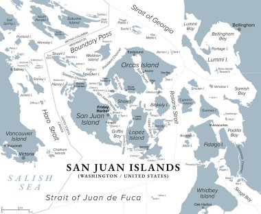 San Juan Adaları, Washington eyaletinin bir parçası, gri politik harita. Birleşik Devletler 'in Pasifik Kuzeybatısında, Vancouver Adası' nın doğusunda, Salish Denizi 'nde, San Juan İlçesi' nin çekirdeğini oluşturan takımada..
