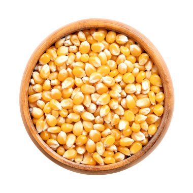 Tahta kasede patlamamış patlamış mısır taneleri. Zea mays tohumları her zaman en üstte toplanır, ısıtıldığında genişler ve şişer. Atıştırmalık yiyecekler, bazen inci olarak satılır, parantez dışında, ve yaşlı bakireler..