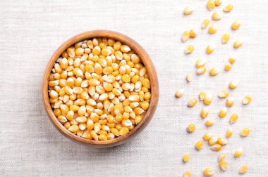 Ahşap bir kasede patlamamış mısır taneleri. Zea mays tohumları her zaman en üstte toplanır, ısıtıldığında genişler ve şişer. Abur cubur yiyecekler, bazen inci olarak satılır, ya da kız kurusu olarak..