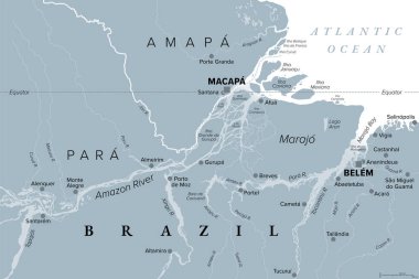 Amazon Delta, gri politik harita. Brezilya 'nın Amap ve Par eyaletlerinde yer alan ve Maraj Takımadasını kapsayan Amazon ve Tocantins Nehri' nin oluşturduğu nehir..