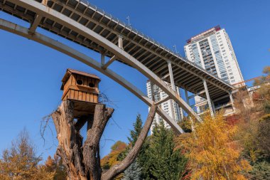 Dikmen Vadisi 'nde Çelik Köprü önündeki ağaç gövdesinde güzel bir kuş yuvası manzarası; Ankara' da sonbaharda Dikmen Vadisi doğal parkı.