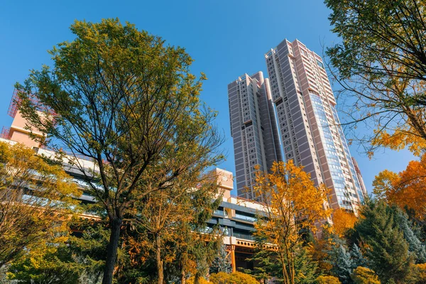 stock image Beautiful view of trees with various colours and buildings on the background in Dikmen Valley | Dikmen Vadisi natural park in autumn in Ankara. Colors of autumn in city life.