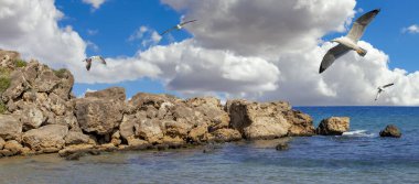 Kuzey Kıbrıs, Kyrenia 'da kıyı kayaları oluşumu. Akdeniz 'in kıyısında. Ufkun üzerinde kabarık bulutlar. Martılar denizin üzerinde uçuyor..
