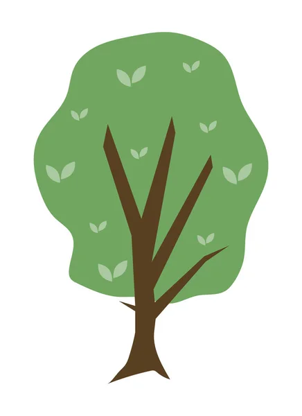 树冠上有绿叶的叶子 植物的自然景观 矢量图解隔离设计 — 图库矢量图片