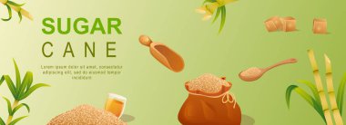 Şeker kamışı yatay web afişi. Torbada veya kaşıkta kahverengi granül şeker, küp, ağaç kökü ve yaprak, organik doğal tatlı yiyecekler. Başlık web sitesi için vektör illüstrasyonu, modern tasarım için kapak şablonları