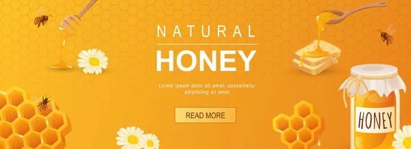 天然蜂蜜水平网横幅 采购产品蜂蜜罐 洋甘菊 有机健康食品和甜品 头版网站的矢量插图 覆盖现代设计中的模板 — 图库矢量图片