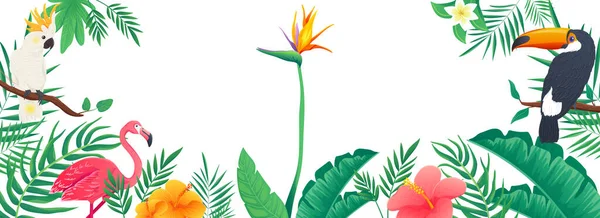 Tropical Horizontal Web Banner Jungle Plants Leaves Palm Tree Monstera — Stock Photo, Image
