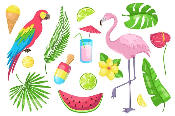 Summertime Set Graphic Elements Flat Design Пакет Мороженого Попугай Пальмовые — стоковый вектор