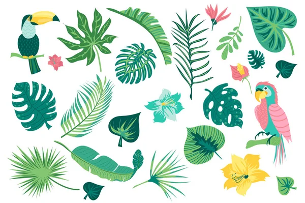 こんにちは夏のフラットデザインのグラフィック要素を設定します タオカン オウム 熱帯の葉とエキゾチックな花 野生動物の緑の植物やジャングルの新鮮な葉の束 ベクトル図孤立したオブジェクト — ストックベクタ