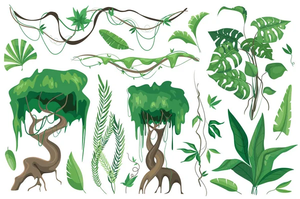 Tropische Pflanzen Und Lianen Setzen Grafische Elemente Flachen Design Bündel — Stockvektor