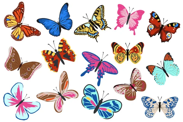 Πεταλούδες Μέγα Σύνολο Στοιχείων Επίπεδη Σχεδίαση Δέσμη Διαφόρων Τύπων Και — Διανυσματικό Αρχείο