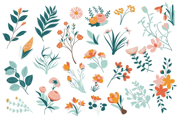 Летние Цветы Мега Набор Элементов Плоском Дизайне Цветущие Цветы Полевые — стоковый вектор