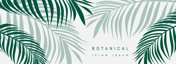 Βοτανικό Αφηρημένο Φόντο Floral Σχέδιο Γραμμή Τέχνης Οριζόντια Πανό Minimal — Διανυσματικό Αρχείο