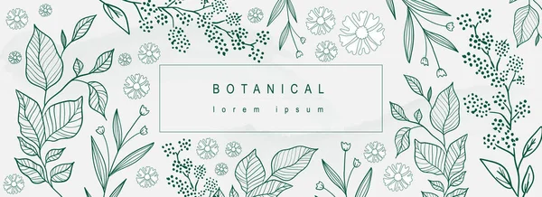 Botanischer Abstrakter Hintergrund Mit Floralem Liniendesign Horizontales Webbanner Minimalistischen Stil — Stockvektor