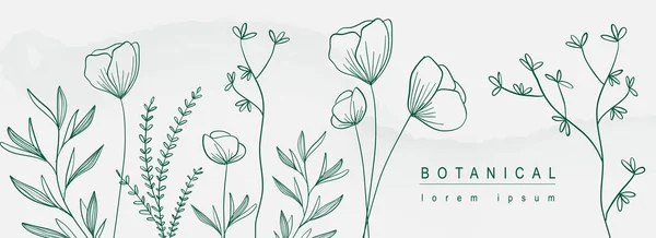 Βοτανικό Αφηρημένο Φόντο Floral Σχέδιο Γραμμή Τέχνης Οριζόντια Πανό Minimal — Διανυσματικό Αρχείο