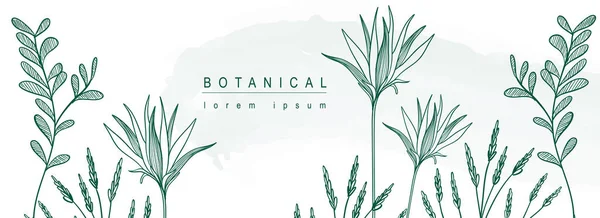 Botanischer Abstrakter Hintergrund Mit Floralem Liniendesign Horizontales Webbanner Minimalistischem Stil — Stockvektor