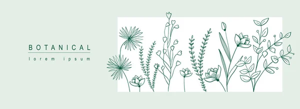 Botanické Abstraktní Pozadí Květinovým Výtvarným Designem Horizontální Web Banner Minimálním — Stockový vektor