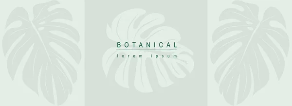Βοτανικό Αφηρημένο Φόντο Floral Σχέδιο Γραμμή Τέχνης Οριζόντια Web Banner — Διανυσματικό Αρχείο