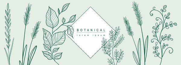 Botanické Abstraktní Pozadí Květinovým Výtvarným Designem Horizontální Pavučinový Prapor Složením — Stockový vektor