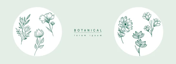Botanischer Abstrakter Hintergrund Mit Floralem Liniendesign Horizontales Webbanner Mit Einer — Stockvektor