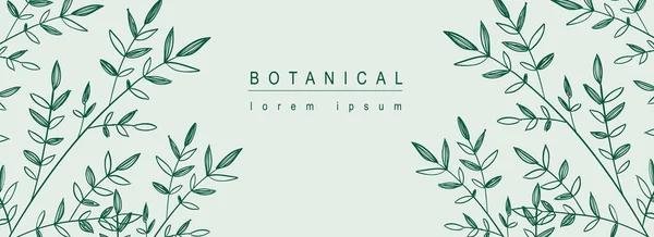 Botanische Abstracte Achtergrond Met Bloemlijn Art Design Horizontale Banner Compositie — Stockvector