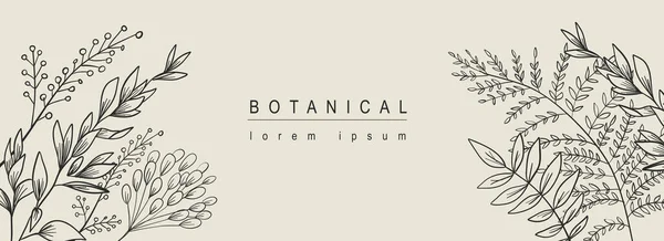 Botanické Abstraktní Pozadí Květinovým Výtvarným Designem Horizontální Pavučinový Banner Bylinkovým — Stockový vektor