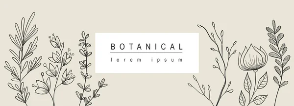Botanischer Abstrakter Hintergrund Mit Floralem Liniendesign Horizontales Webbanner Mit Minimaler — Stockvektor
